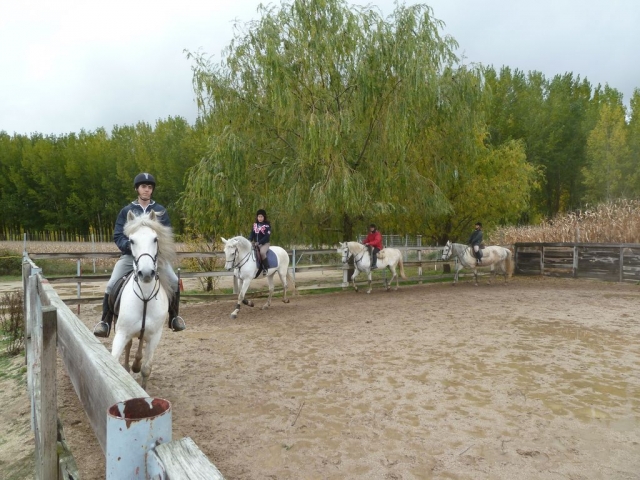En la clase de equitacion
